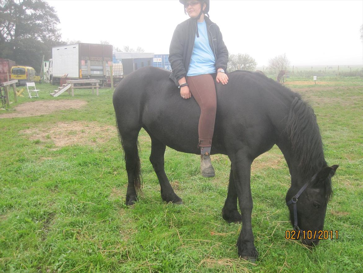 Frieser Sharmay/Flora billede 10