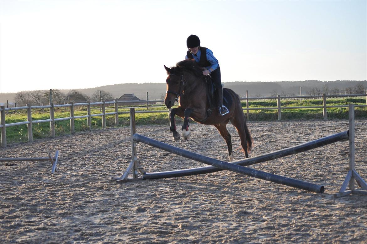 New Forest Angelina Bay {my'girl}  billede 14