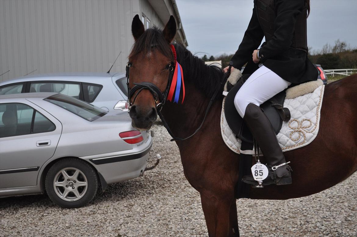 New Forest Angelina Bay {my'girl}  billede 15