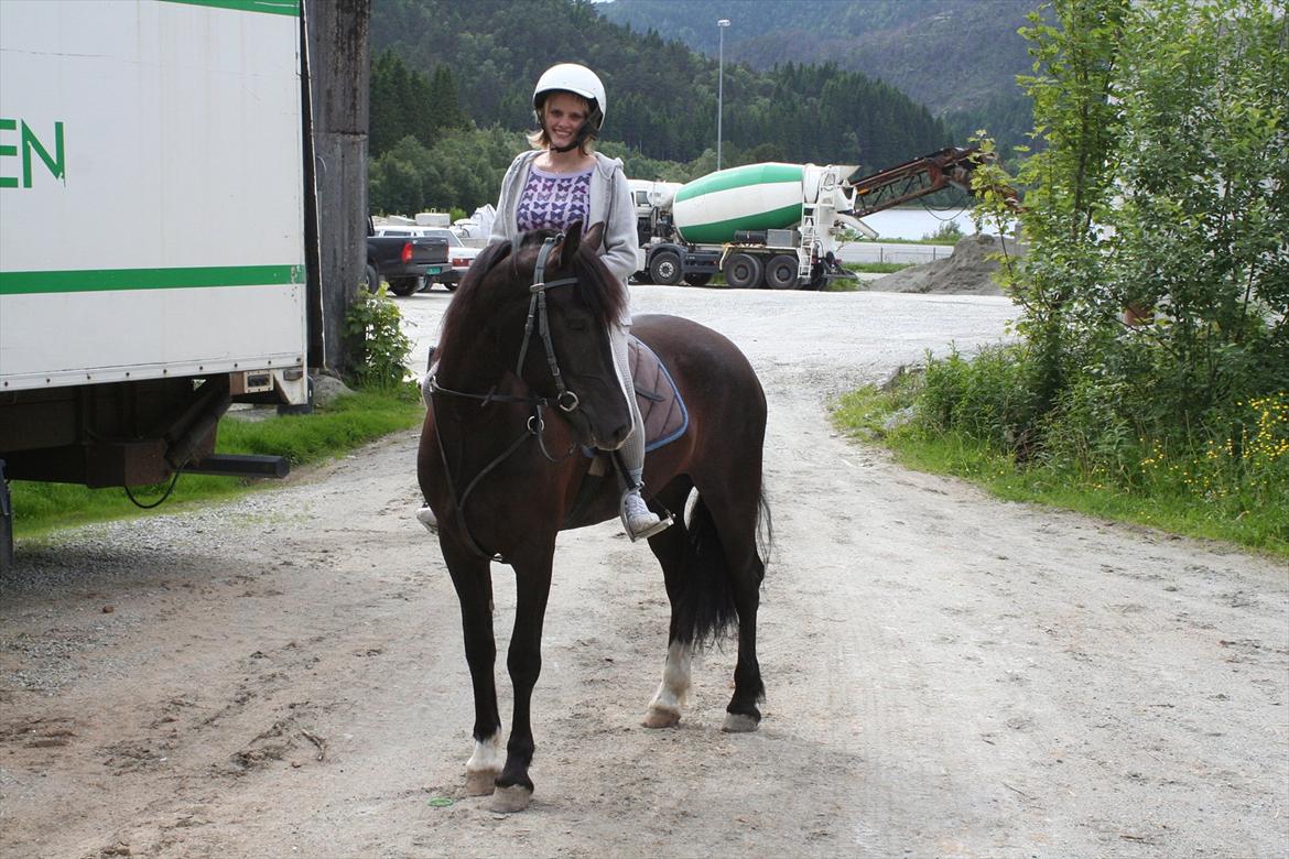 Koldblodstraver <3Kuven Vetla<3 - Meg på ridetur med Vetla billede 15