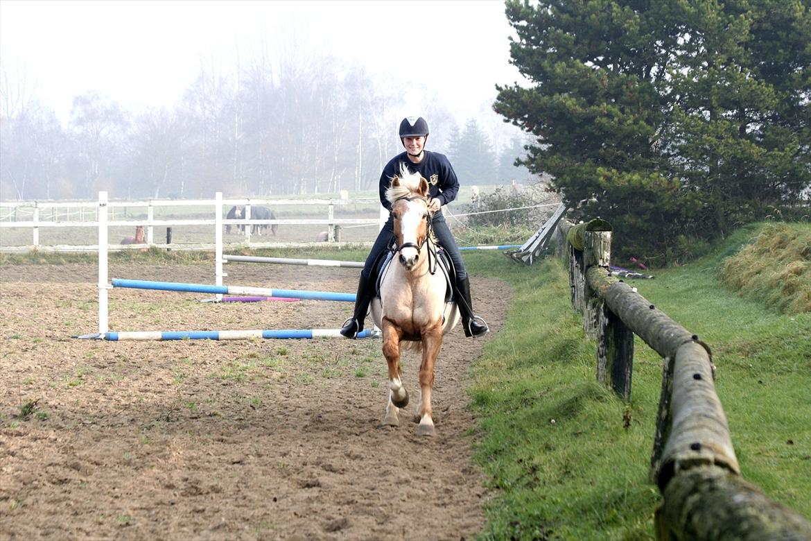 Anden særlig race Pablo billede 4