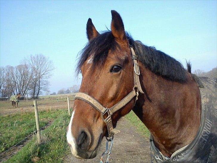 Anden særlig race don juan  - dejlige dreng <3 billede 14