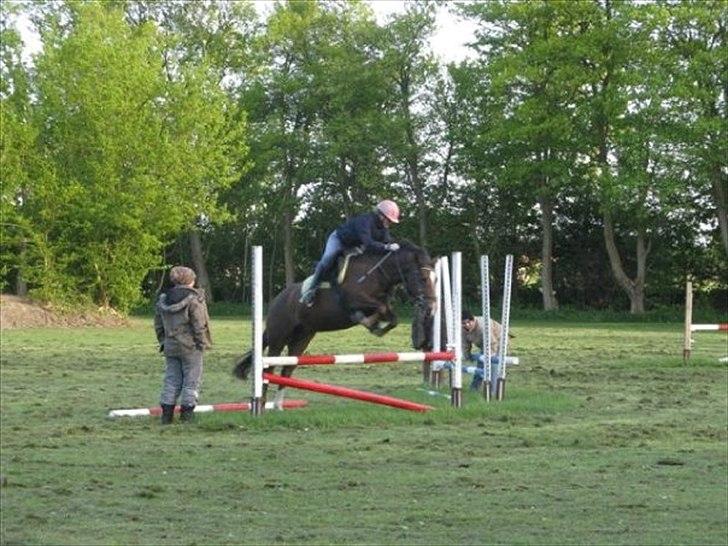 New Forest Firfod Jordbær med fløde - Jordbær springer:) billede 2