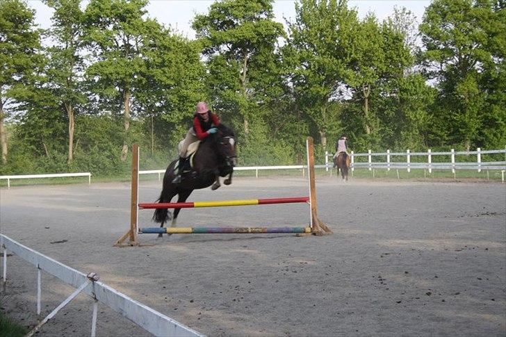 New Forest Firfod Jordbær med fløde - Jordbær springer igen billede 3