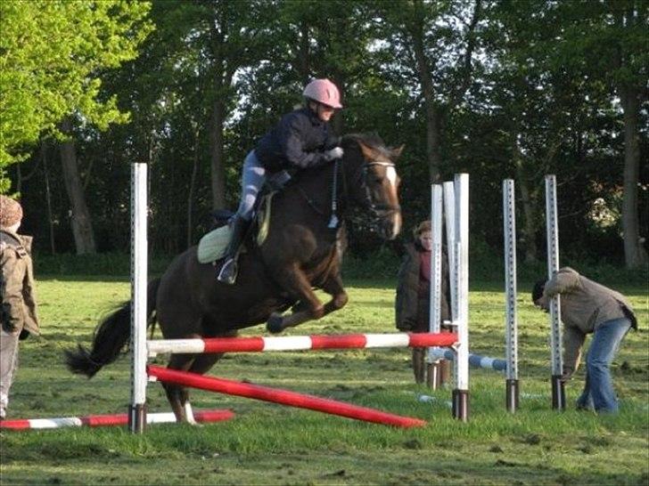 New Forest Firfod Jordbær med fløde - og vi springer igen:-) billede 4