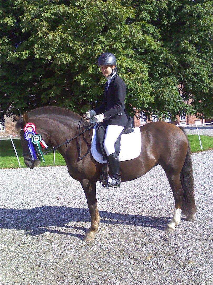 New Forest Firfod Jordbær med fløde - Igen <3 billede 6