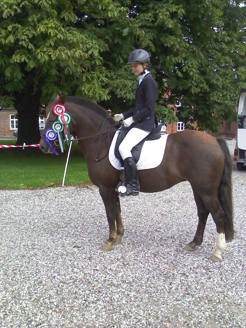 New Forest Firfod Jordbær med fløde - Igen<3 billede 7