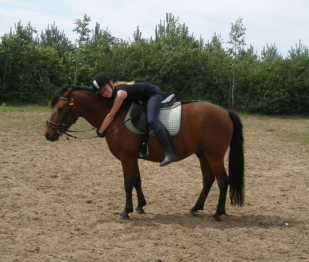 Anden særlig race Don Pedro - Hygge<3<3 billede 10