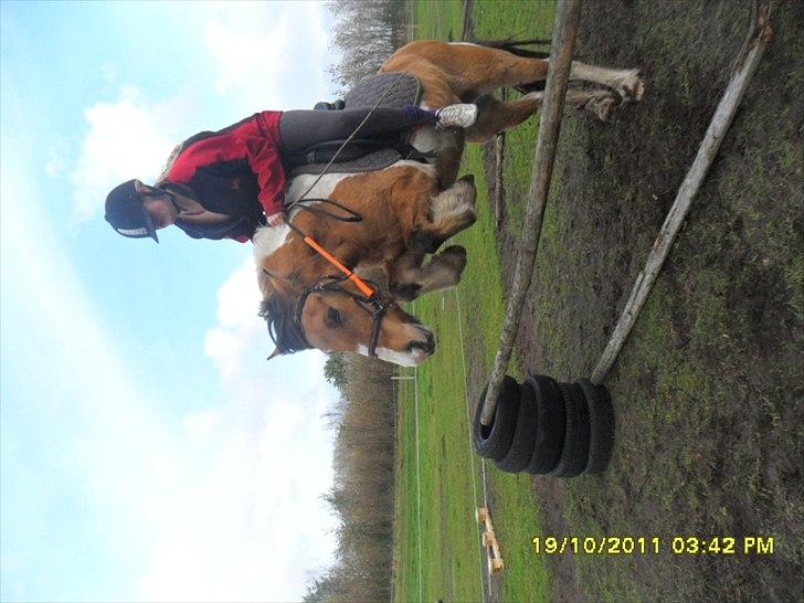 Anden særlig race Mulle - Spring efterårsferien med mig :)
 billede 15