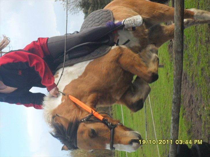 Anden særlig race Mulle - Spring, såå lækker :) billede 16