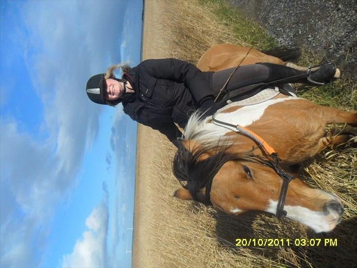 Anden særlig race Mulle - På tur i den dejlige natur. Tak for kigget, lig gerne en kommentar og bedømmelse :) billede 17