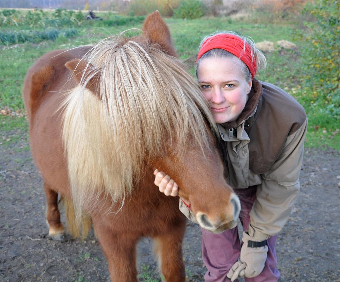 Islænder Saga fra Gl. Rye *Hvil i fred<'3* - 19 # Mig og elskede Snagsi<'3 Foto: Freja Lund Johnsen 12.11.11 billede 19