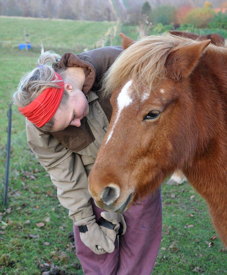 Islænder Tritla fra Duedahl<3 - 6 # Mig og Tritla:) Foto: Freja Lund Johnsen 12.11.11 billede 6