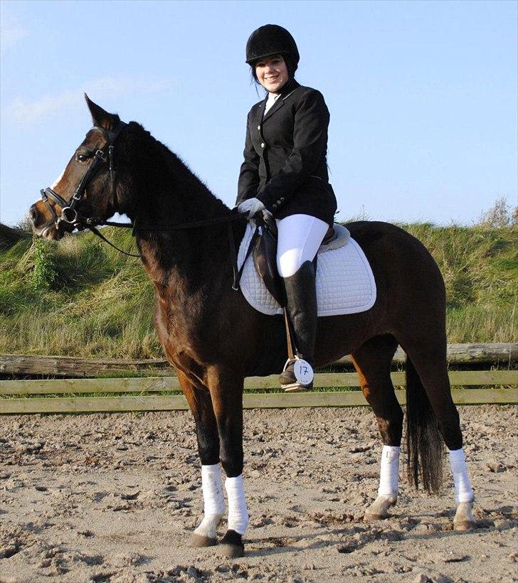 New Forest Lundgaards Friday - taget af: dorte jensen. billede 3