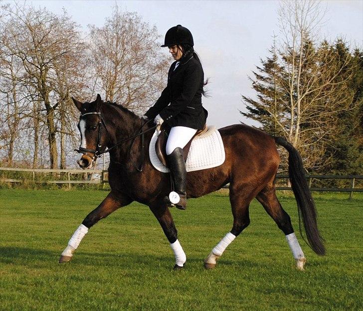 New Forest Lundgaards Friday billede 5