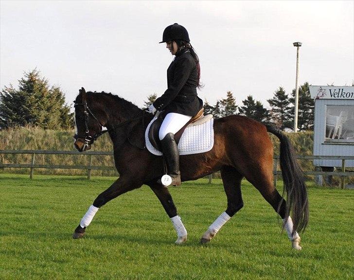 New Forest Lundgaards Friday - tager af: dorte jensen. billede 6