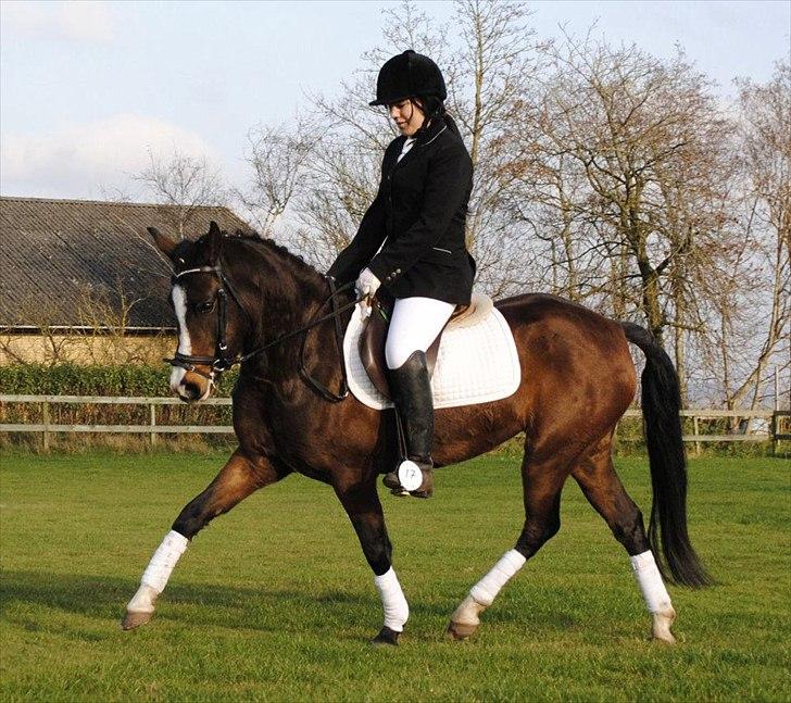 New Forest Lundgaards Friday - taget af: dorte jensen. billede 1