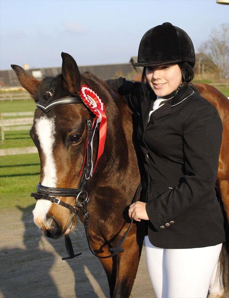 New Forest Lundgaards Friday - taget af: dorte jensen. billede 10