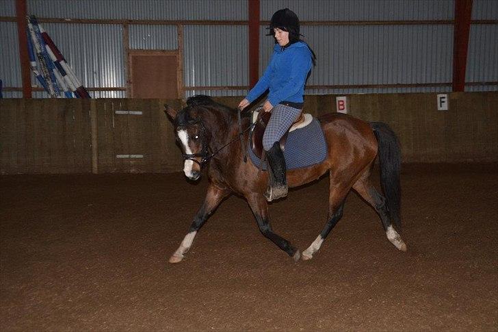 New Forest Lundgaards Friday - tager af: sofie svendsen. billede 14