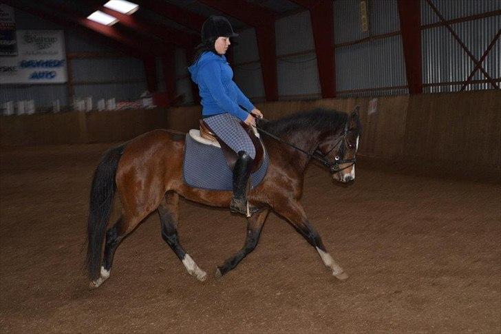 New Forest Lundgaards Friday - taget af: sofie svendsen. billede 17