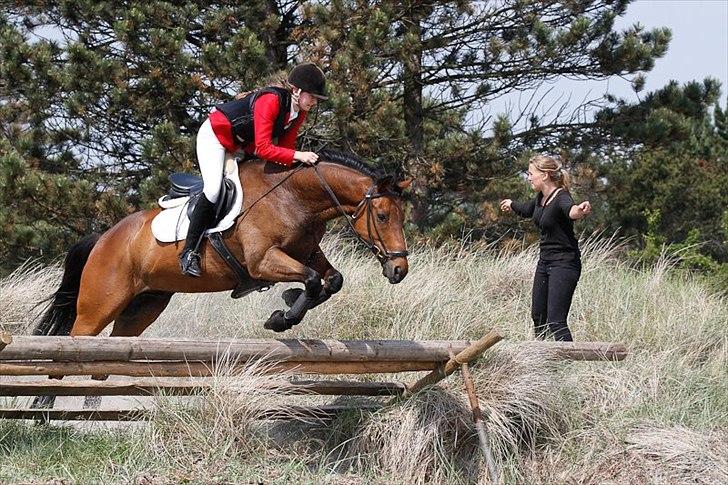Fuldblod (XX) Capzeda xx - Jagt på feddet Juni ´11. Fuldført! billede 17