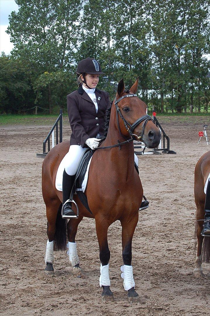 New Forest Bakkegaards Zenn-lii. billede 19