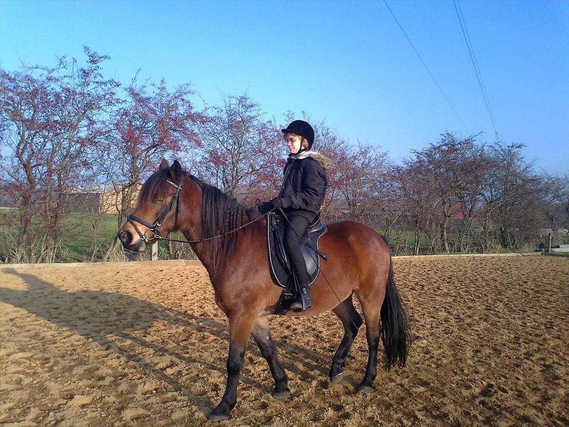Connemara Baltazar The Superstar billede 12