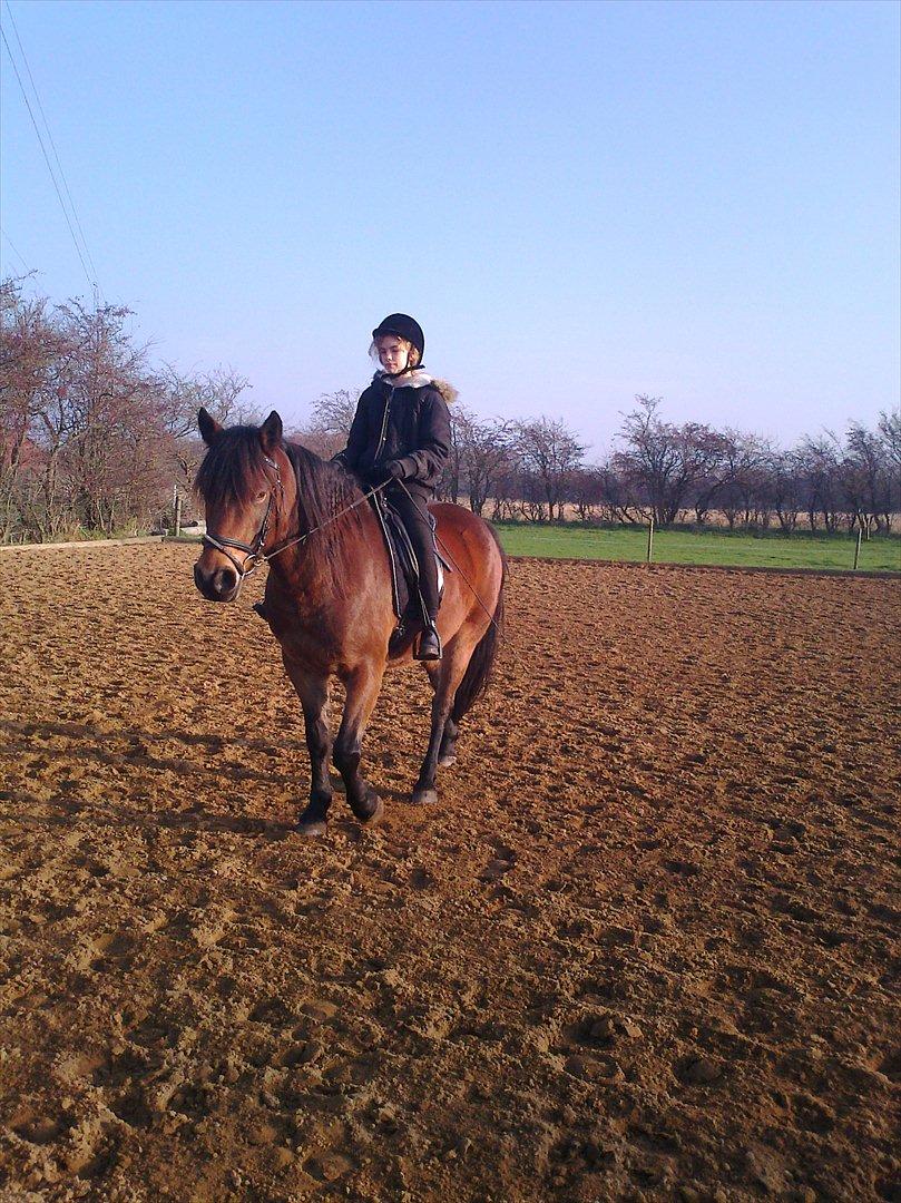 Connemara Baltazar The Superstar billede 10
