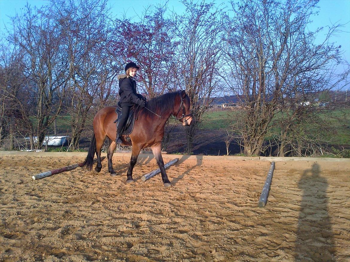 Connemara Baltazar The Superstar billede 6