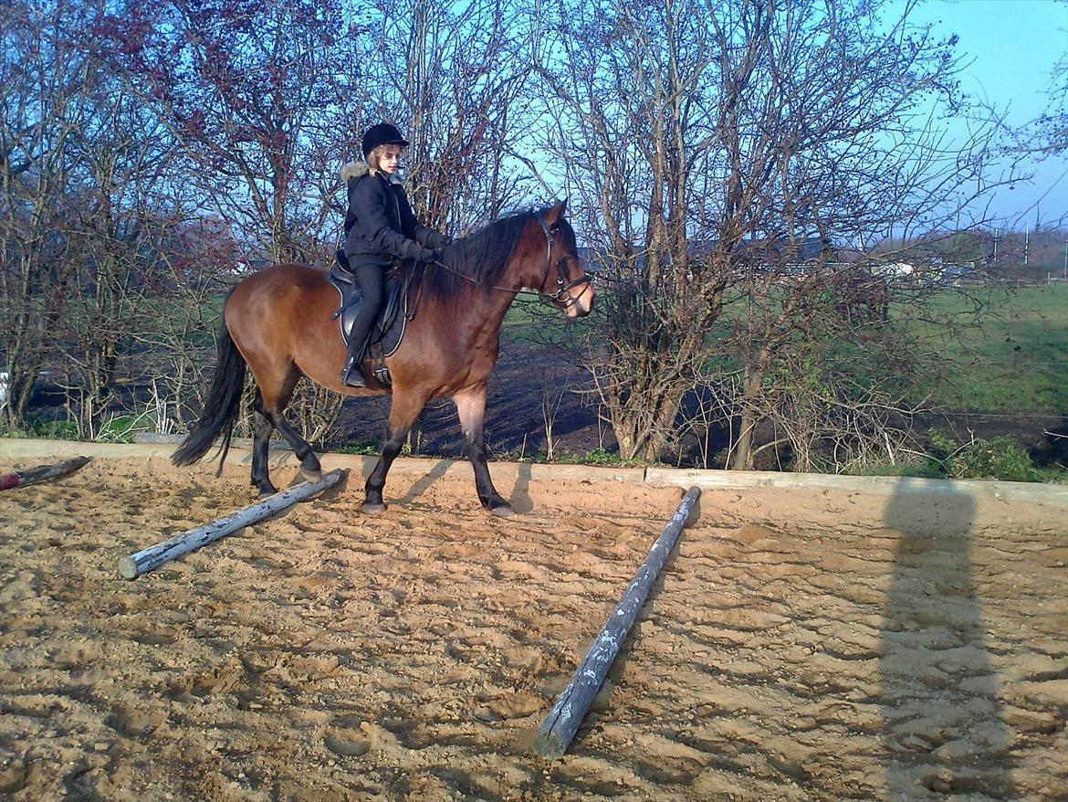 Connemara Baltazar The Superstar billede 13