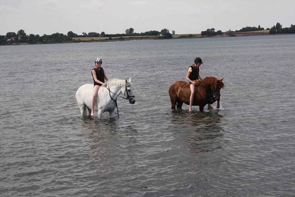 Anden særlig race Frederikke ¤SOLGT¤ - Mig&Bernadette og Louise&Frederikke billede 8