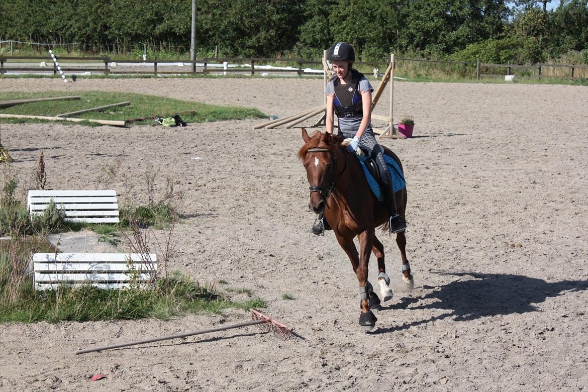 Anden særlig race Frederikke ¤SOLGT¤ - Frederikke og Louise billede 11