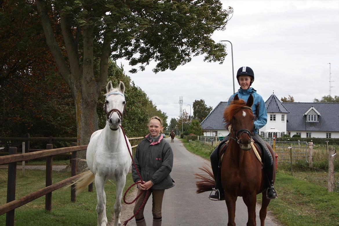 Anden særlig race Frederikke ¤SOLGT¤ - Mig&Bernadette og Louise&Frederikke billede 15