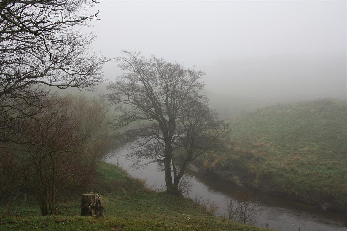 Haflinger Nantino Hestvang - Kan man ønske sig bedre udsigt fra sin fold... billede 16