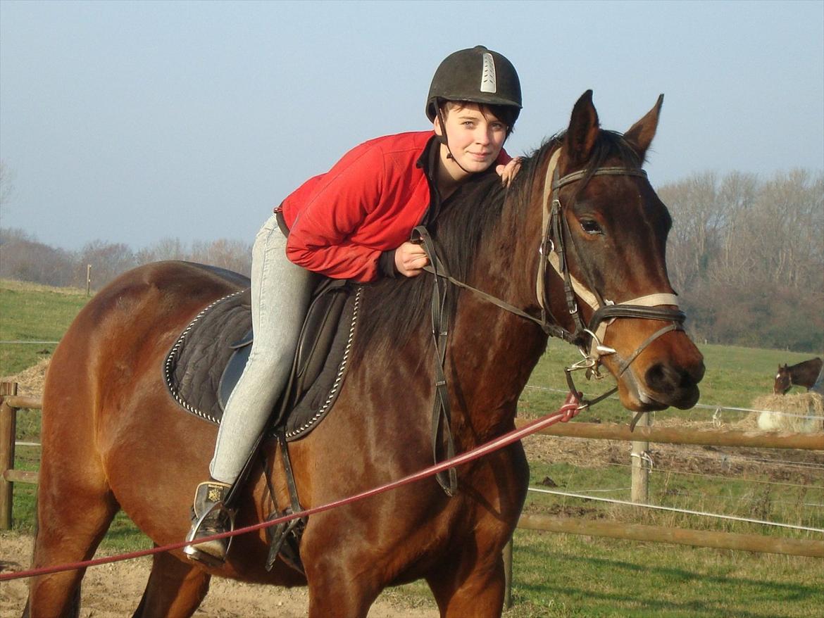 Dansk Varmblod Belisha - Velkommen til Belle'pigens profil!
-Læg gerne en kommentar & en bedømmelse billede 1