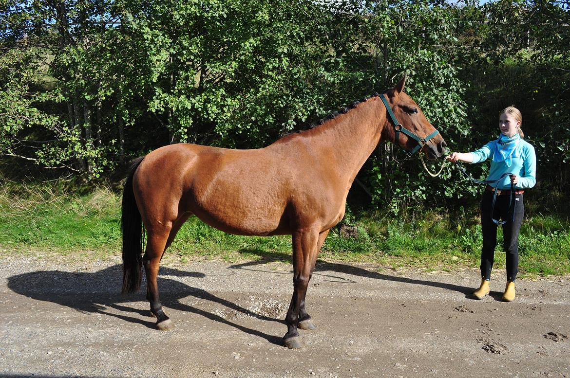 Anden særlig race Miamaj<3  - Miamaj som fotomodel! :D  billede 18