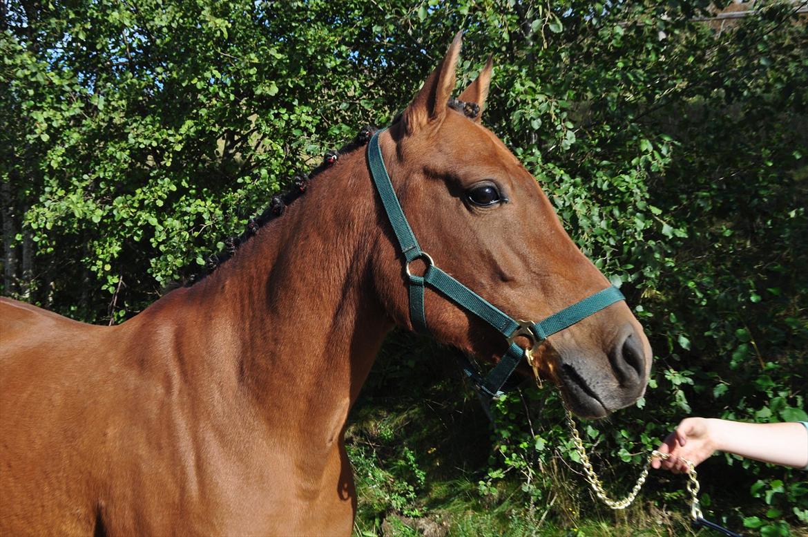 Anden særlig race Miamaj<3  - læk.. læk.. lækker!! :D  billede 19