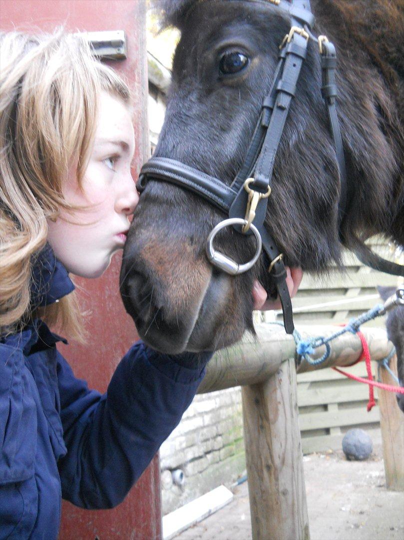 Anden særlig race Hannibal  (BFF<3) - Hannibal og miig ;D

Hannibal elsker dig over alt min lille Prins <33 billede 7