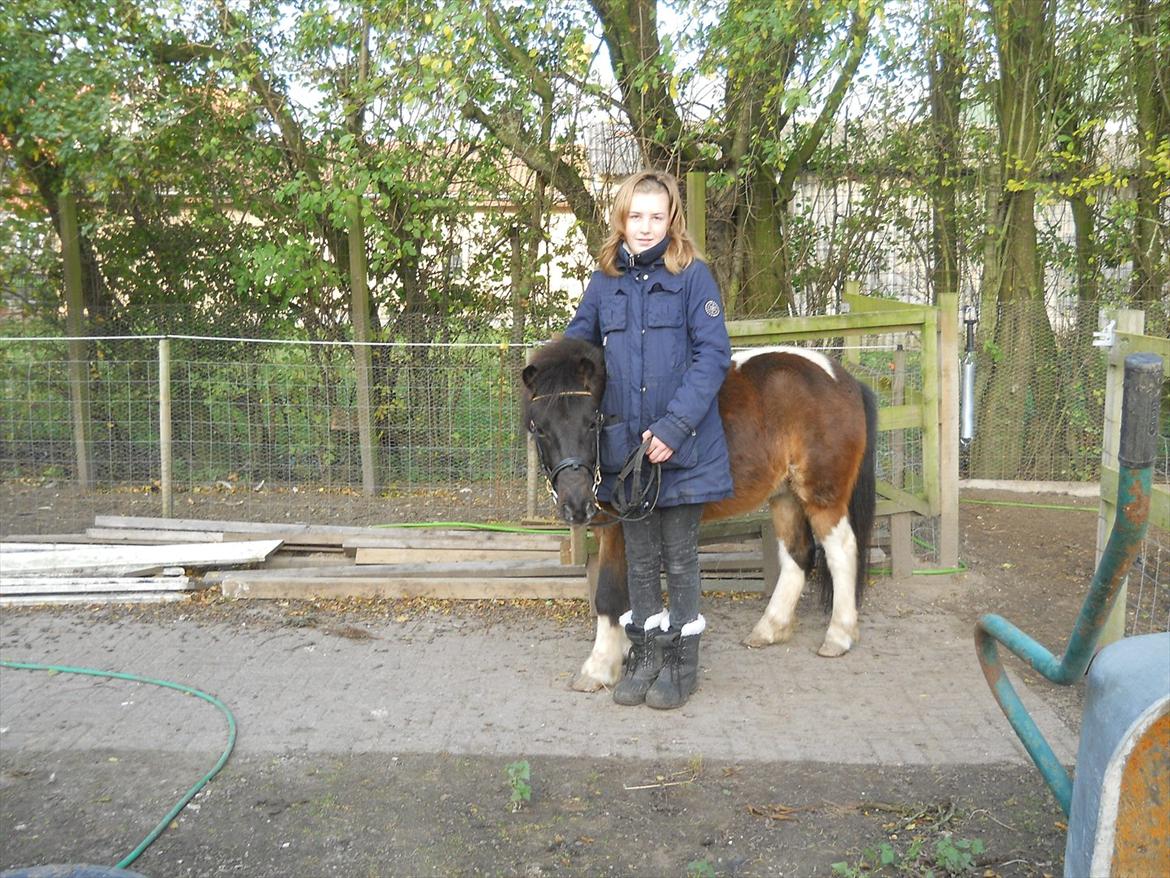 Anden særlig race Hannibal  (BFF<3) billede 8