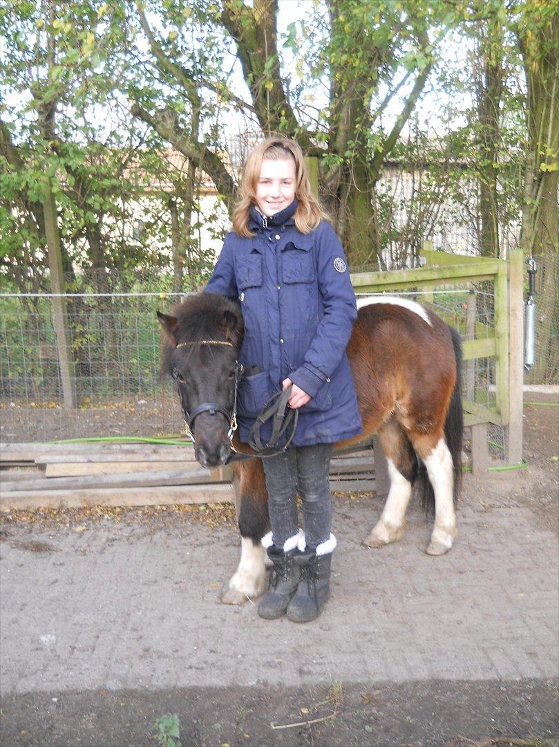 Anden særlig race Hannibal  (BFF<3) billede 9