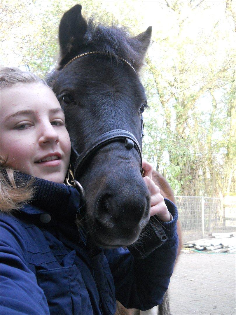 Anden særlig race Hannibal  (BFF<3) billede 12