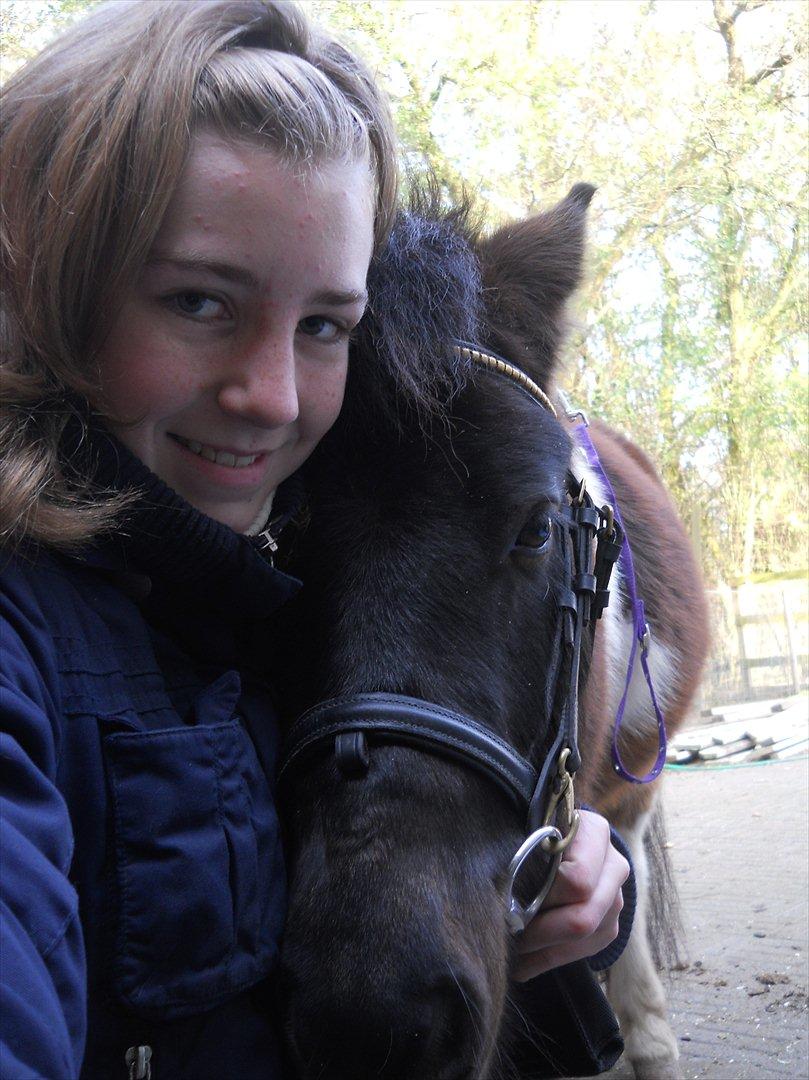 Anden særlig race Hannibal  (BFF<3) billede 13