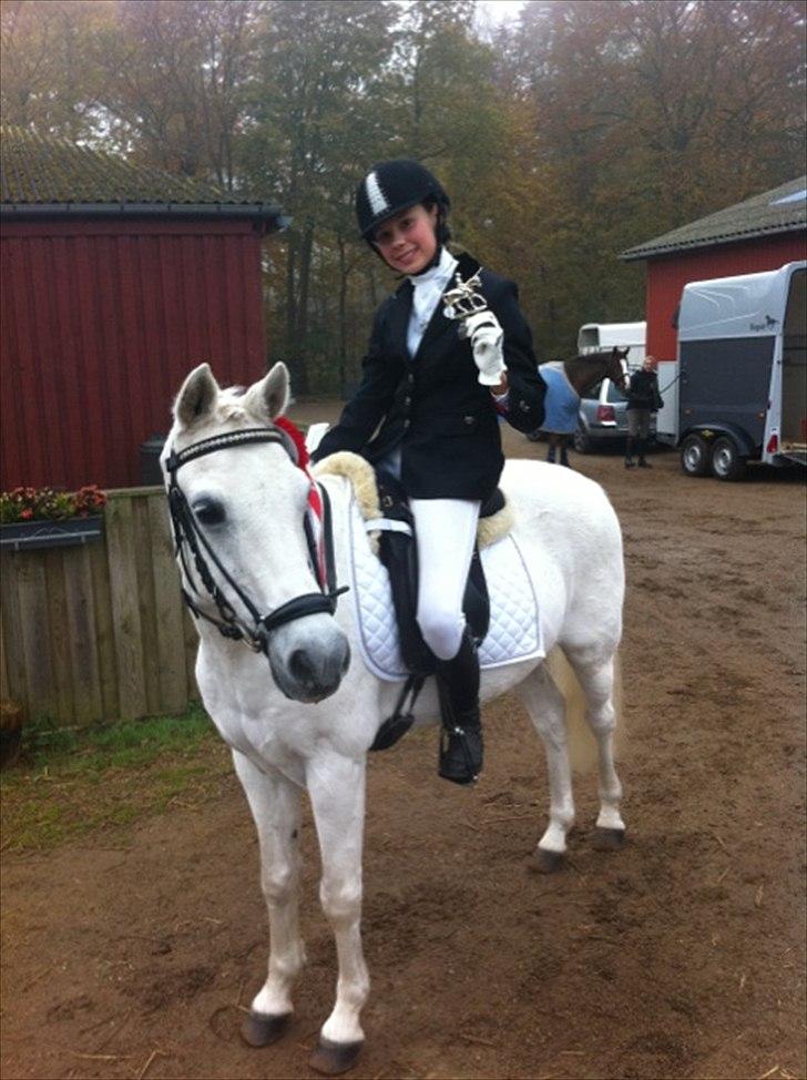 Welsh Pony (sec B) Bohemo Greco - 1. Plads - Klubstævne KOR
Stolt Freja!
Who says you’re not star potential?
Who says you’re not presidential?
Who says you can’t be in movies?
Listen to me, listen to me
Who says you don’t pass the test?
Who says you can’t be the best?
Who says?♥♥ billede 6