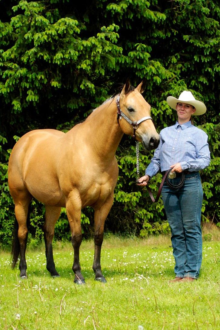 Quarter Sweet Sazz - 2011

Photo by TC Photo
all rights reserved billede 6