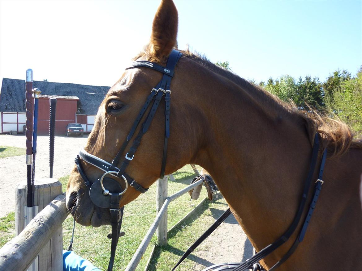 Traver Hard To Get billede 20