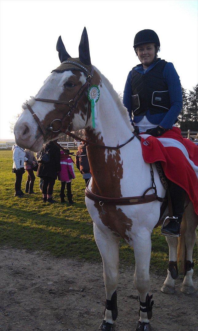 Pinto Nikolaj af Dutterup - Vores første stæve sammen.. <3 
en flot 3 plads i spring. billede 5