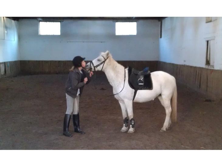 {{currentPhoto.altText}} billede {{currentPhoto.number}}