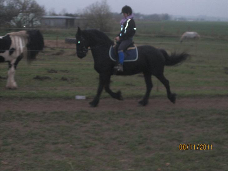 {{currentPhoto.altText}} billede {{currentPhoto.number}}