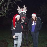 Traver Donavan Djess