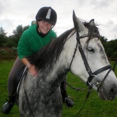 Anden særlig race Blue Silky Walker